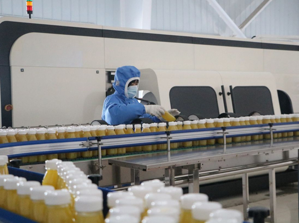 Línea de producción automática de bebidas de frutas