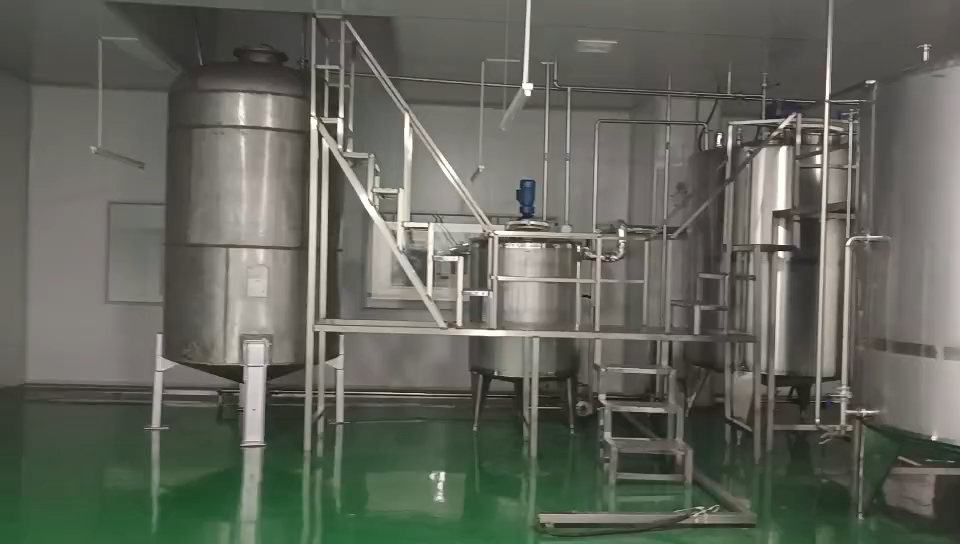 Fabricante de línea de producción automática de jugo de papaya
