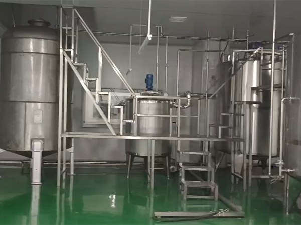 Fabricante de planta automática de producción de jugo de papaya