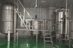 Fabricante de línea de producción automática de jugo de papaya