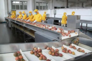 Fabricante de línea de producción automática de jugo de maracuyá