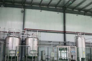 Fabricante de líneas automáticas de producción de jugo de piña