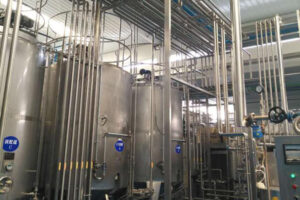 Fabricante de líneas automáticas de producción de bebidas proteicas vegetales