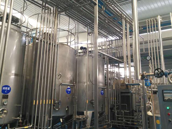 Fabricante de líneas automáticas de producción de bebidas proteicas vegetales