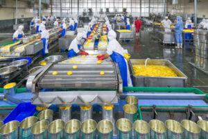 Fabricante de líneas de producción automáticas para el llenado de bebidas enlatadas