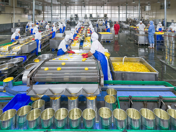 Fabricante de plantas de producción automáticas para el llenado de bebidas enlatadas