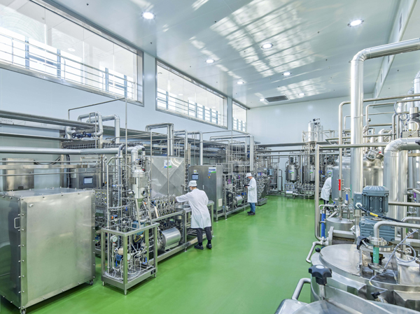 Fabricante de línea de producción de leche de almendra totalmente automática