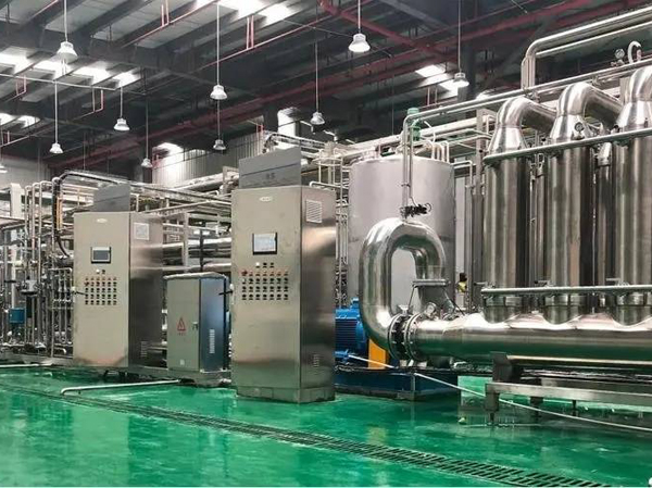 Fabricante de línea de producción de minerales óseos totalmente automática