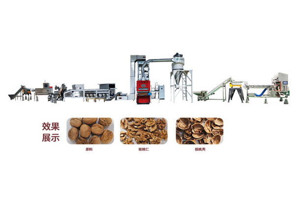 Presentación de la máquina automática para pelar nueces y extraer el grano y la máquina semiautomática para pelar nueces.